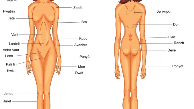Female Body Parts Medical Creole